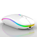 Mouse Sem Fio Wireless Com Bateria Interna Recarregavel 2,4 Ghz Led RGB Home Office